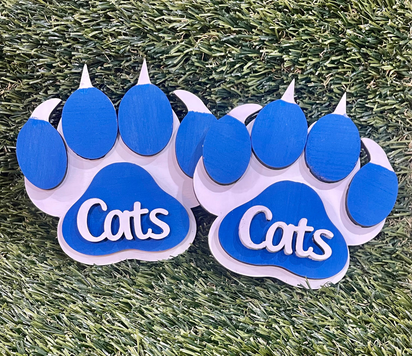 Kentucky Wildcats paw