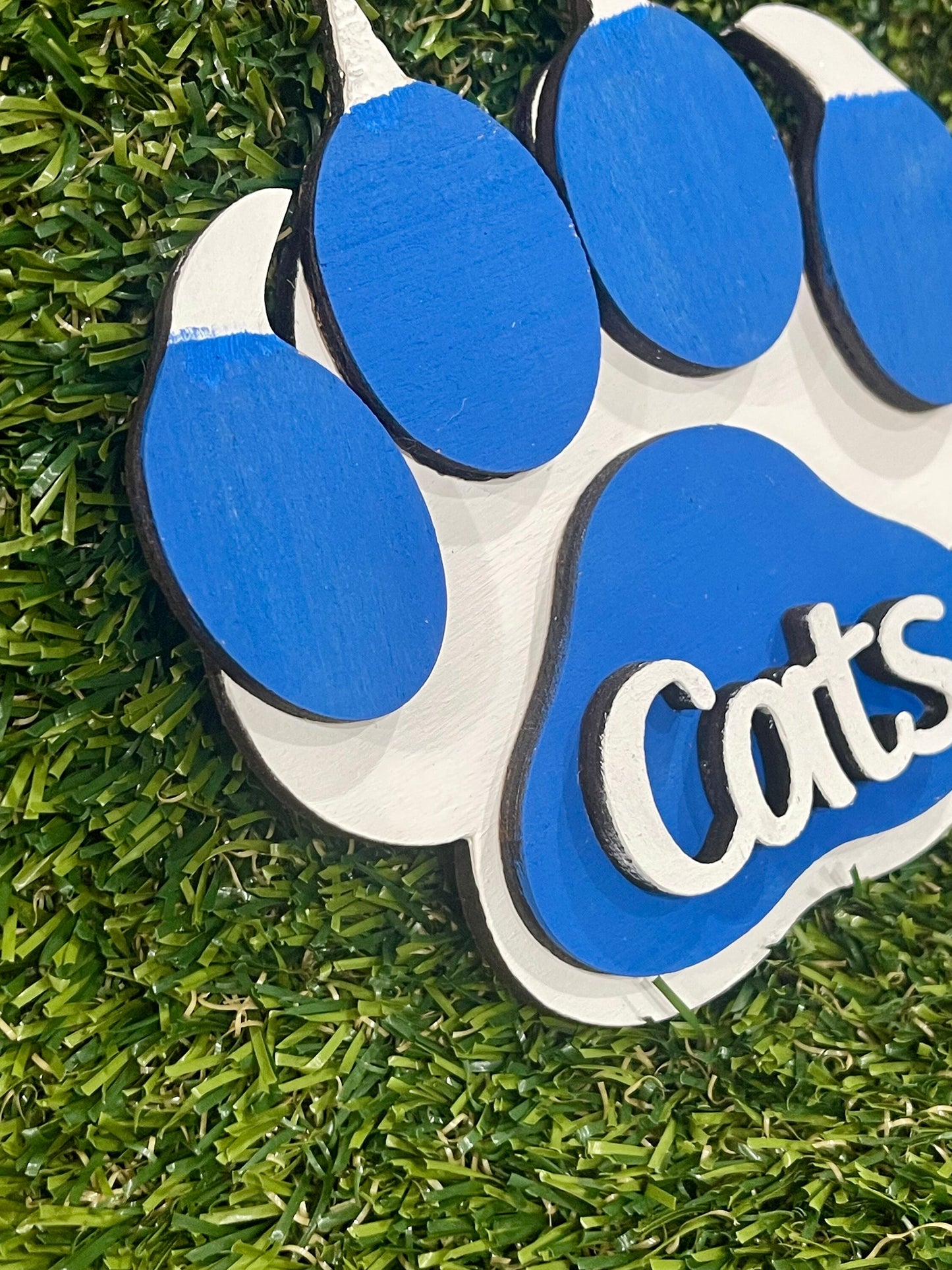 Kentucky Wildcats paw
