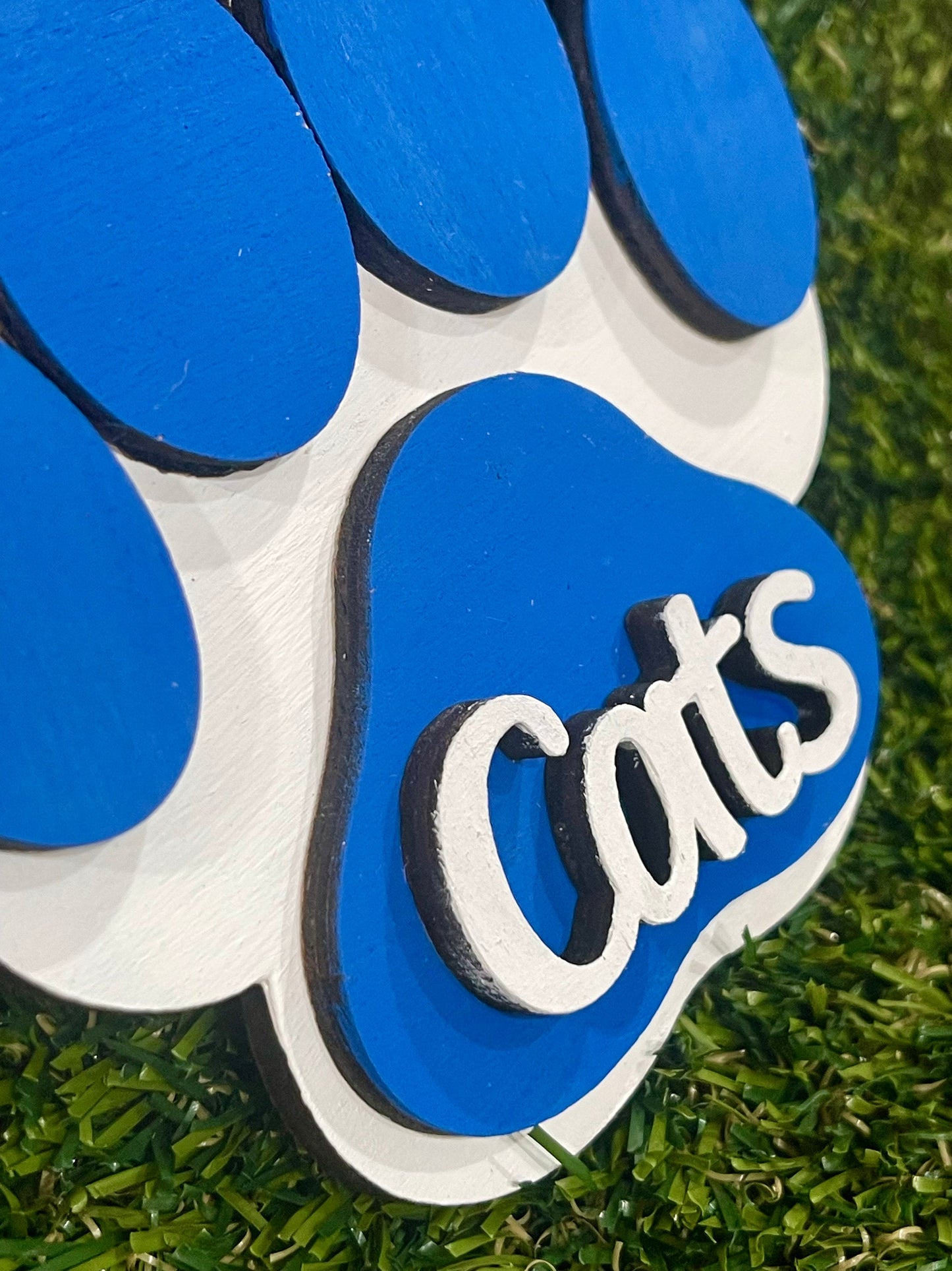 Kentucky Wildcats paw