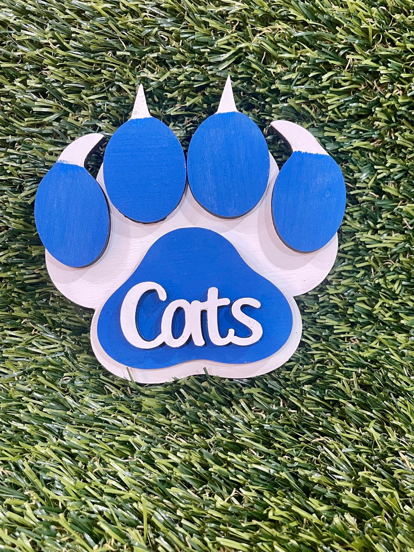 Kentucky Wildcats paw